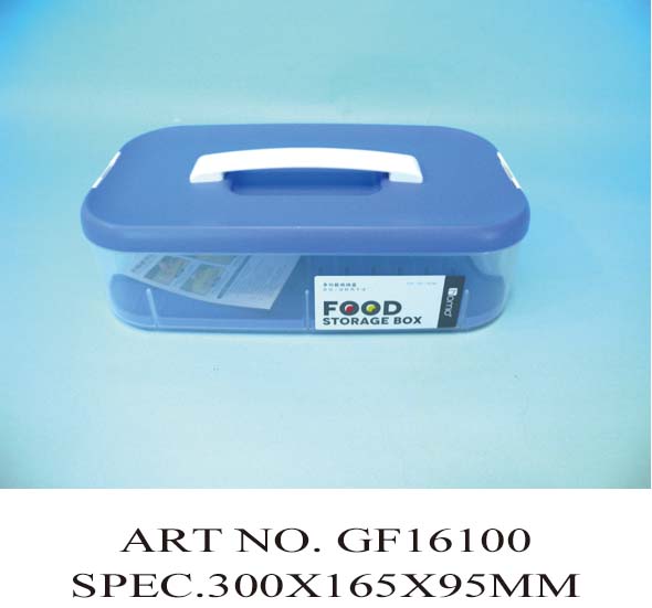 GF16100
