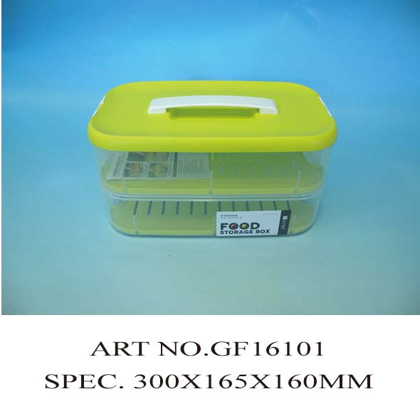 GF16101