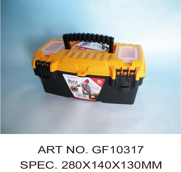 GF10317