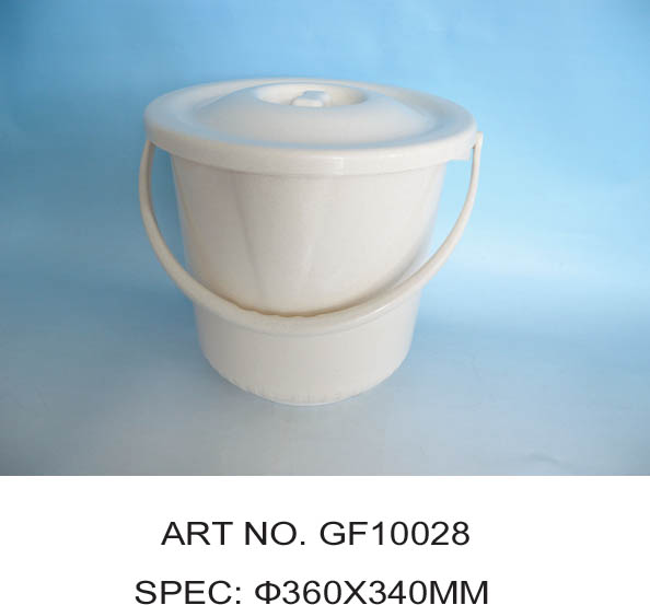 GF10028